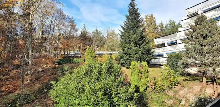 Studio en résidence, aux Trois-Epis