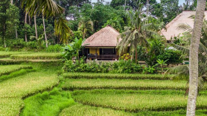 Imperial Villa in Ubud - Majestic Beauty and Nature