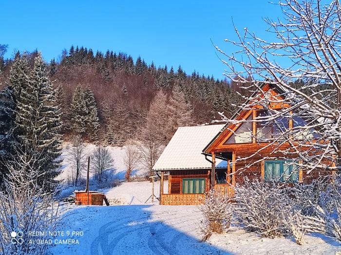 Căsuța de la munte