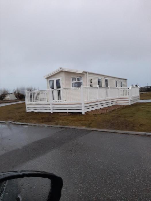 Swallows at Silversands