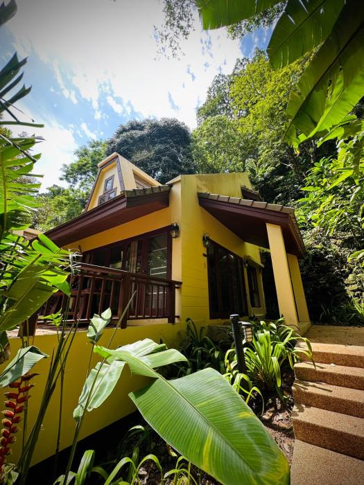 Patong Beach森林屋111