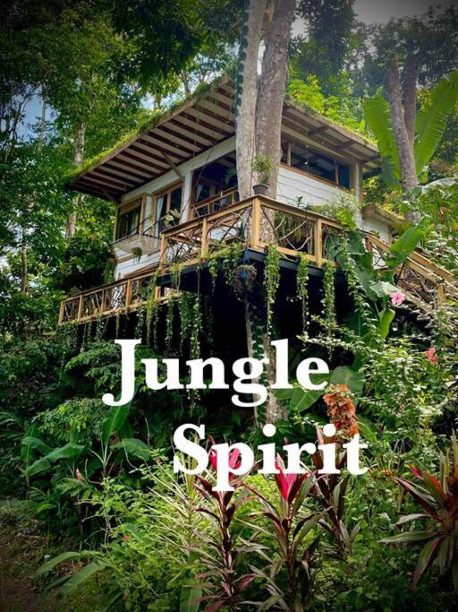 Jungle Spirit Treehouse