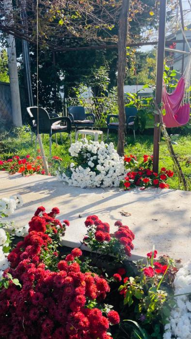 GreenZen reset space