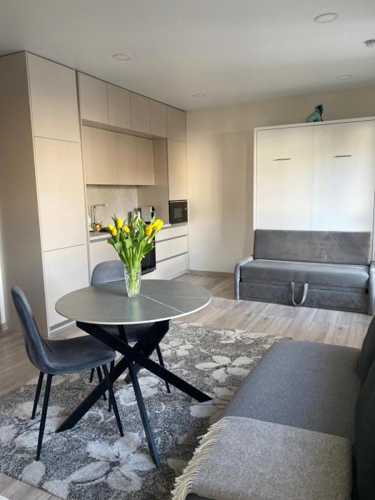 Apartments in the center