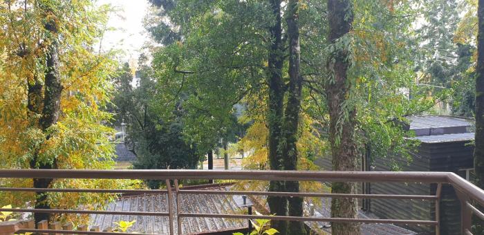 Apartamento Camino al Volcan