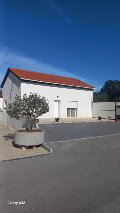 Monte dos Pastorinhos II