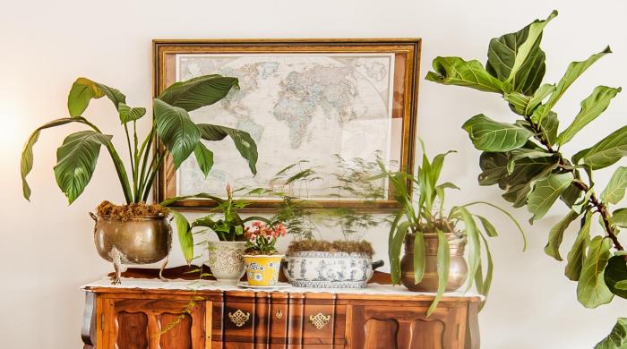 3-Bedroom Penthouse in Stellenbosch for 5 Guests with Stunning Mountain Views