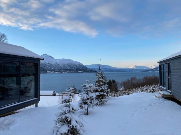 Northern Lights Haven