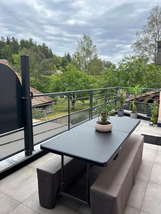 Le Hohwald centre appartement terrasse 3 pièces 101