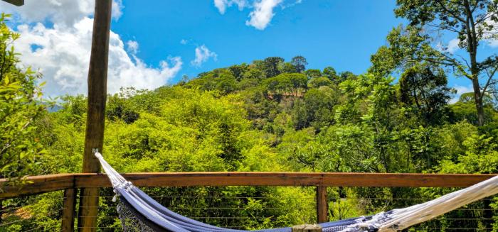 Cores e Flores da Serra Pousada by Concavus