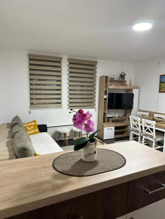 Sunčani breg apartman 7