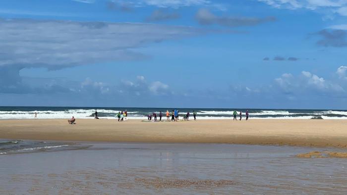 Escape MobilHome aux Dunes de Contis