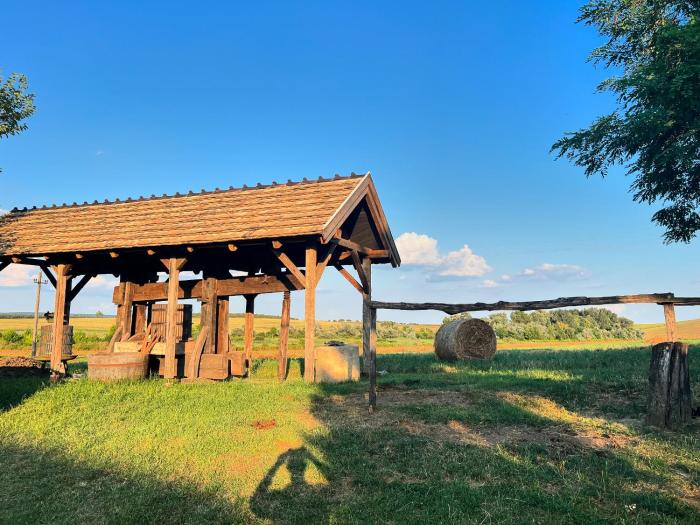 Buzál-Mórocza Pincészet és Szálláshely