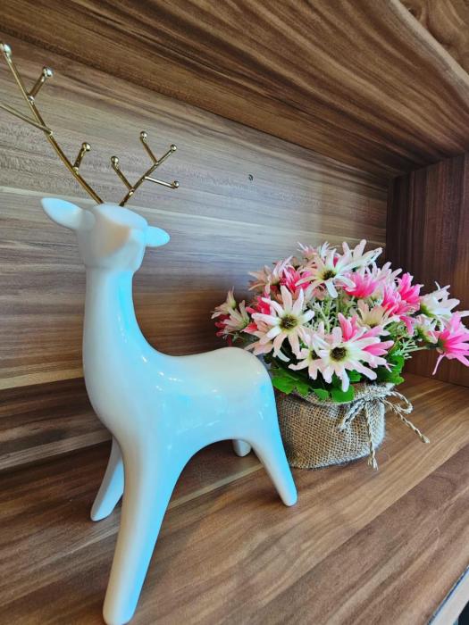 The viva patong condo C602