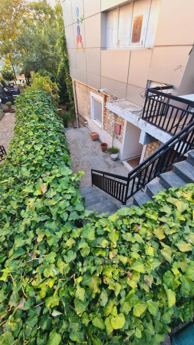 Το σπίτι της γιαγιάς