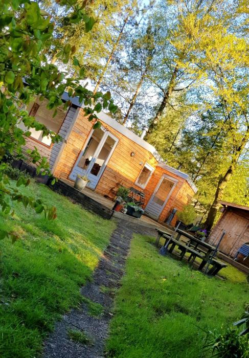 Knus huisje in het bos