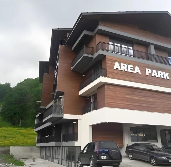 Area Park Bakuriani, Apartment 5