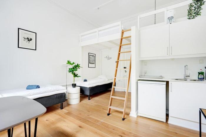 Charming apartment in Copenhagen