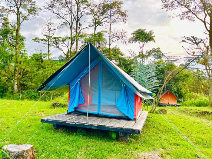 ECOXPLORA-Zona de camping