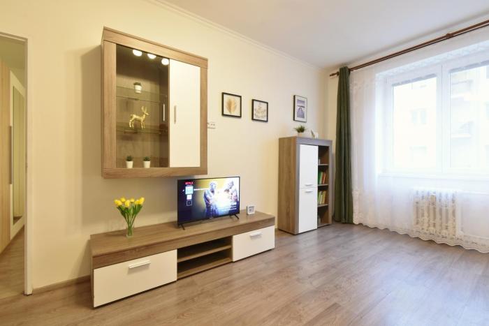 Karlsbad City Apartment