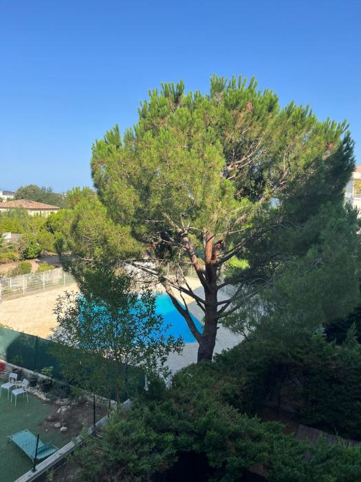 Appartement T2, 55M2, meublé, piscine