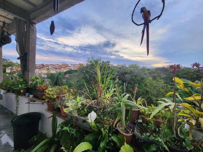 Casa com vista, próxima Catedral Cristo Rei