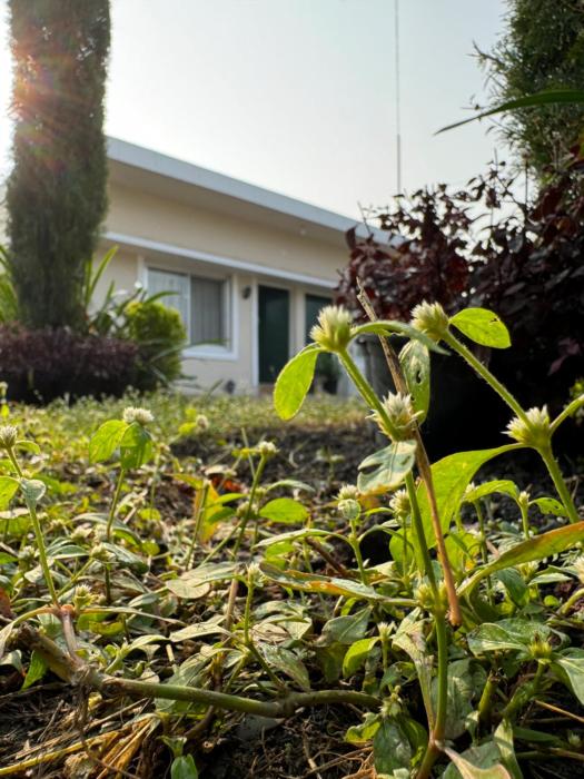 The Bougainvillea Cottage - Private 2BR Farm-Stay with Hill and Orchard Views