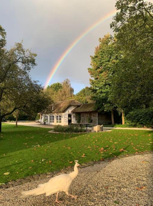 Mastbos Estate Carriage House