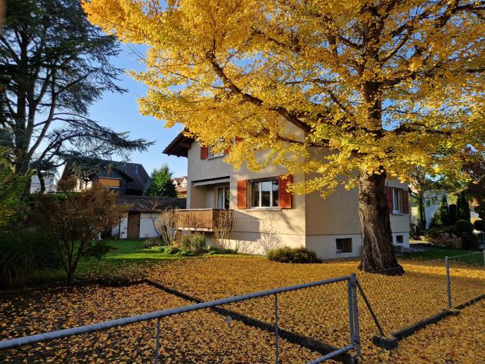 Swiss Chalet direkt am Thunersee