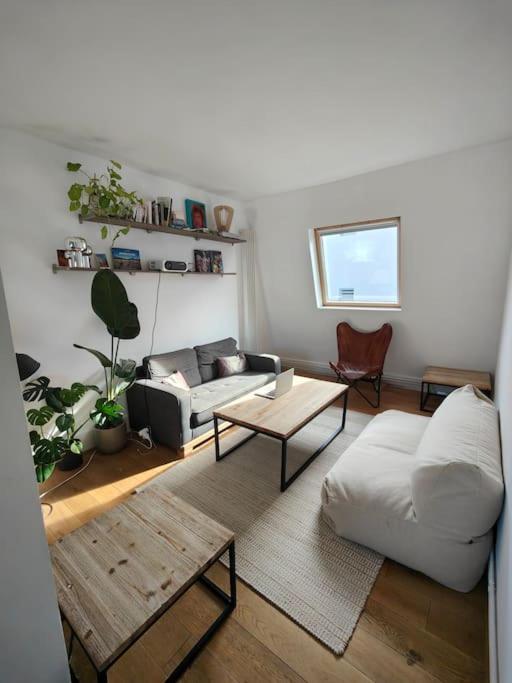 Cocon au cœur de Paris