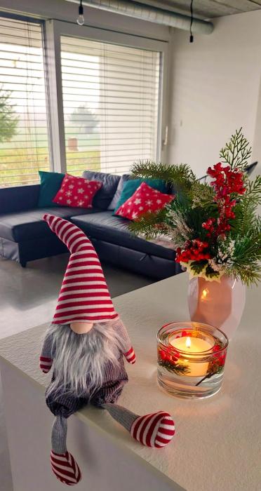 Pasivní dům uprostřed louky