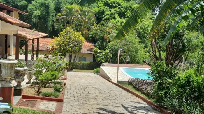 Flor de Jabuticabeira