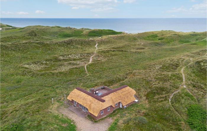 Pet Friendly Home In Ringkøbing