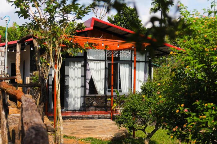 Nhà của bông và gạo