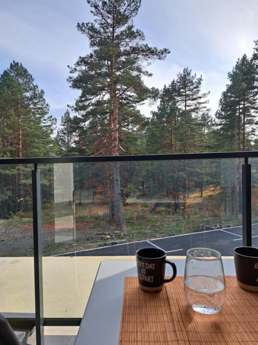 zeleni bor Divcibare