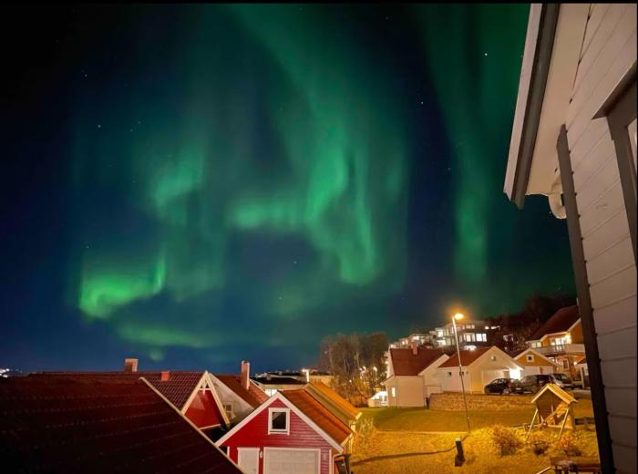 Koselig leilighet, nært sentrum