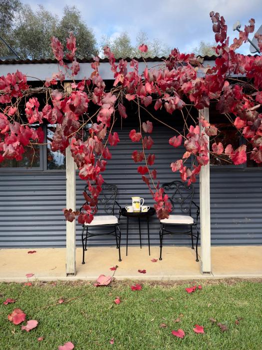 Peaceful getaway in stunning bush setting