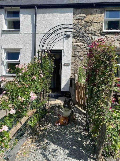 HOLIDAY HOUSE TANYGRISIAU SNOWDONIA North Wales