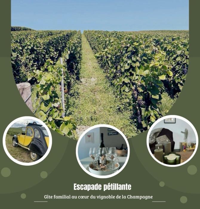 Gîte familial dans le vignoble champenois