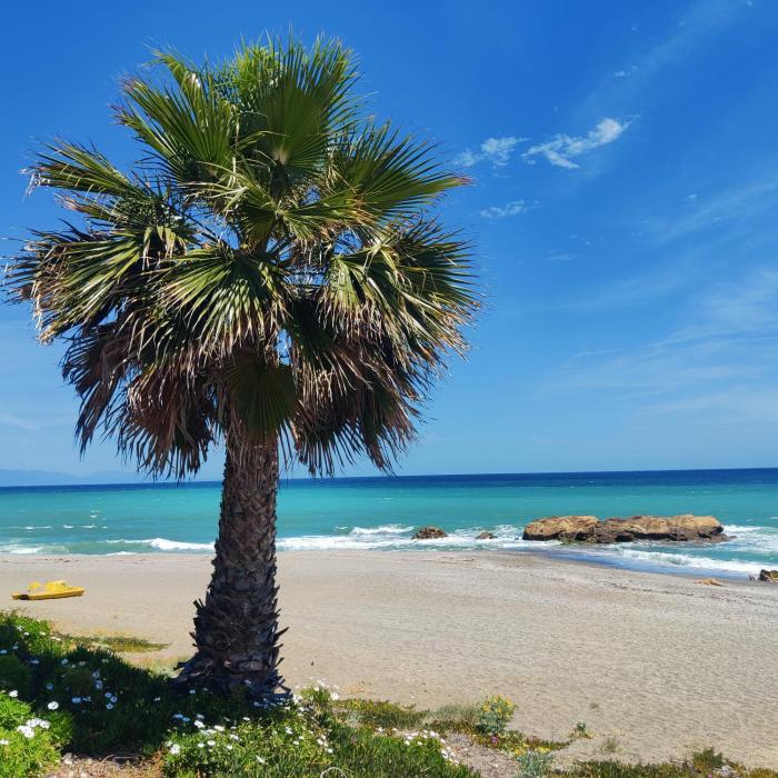 Casa Playa Paraiso Manilva