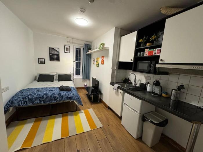 Central Earls Court Studio Flat