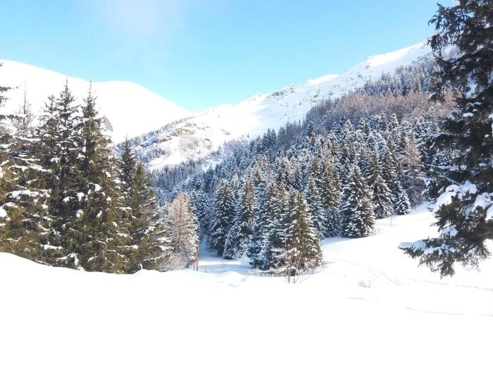 Studio Duplex 8 personnes Vue à couper le souffle