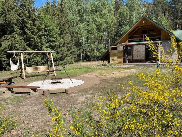 Zacisze leśne w Juliance