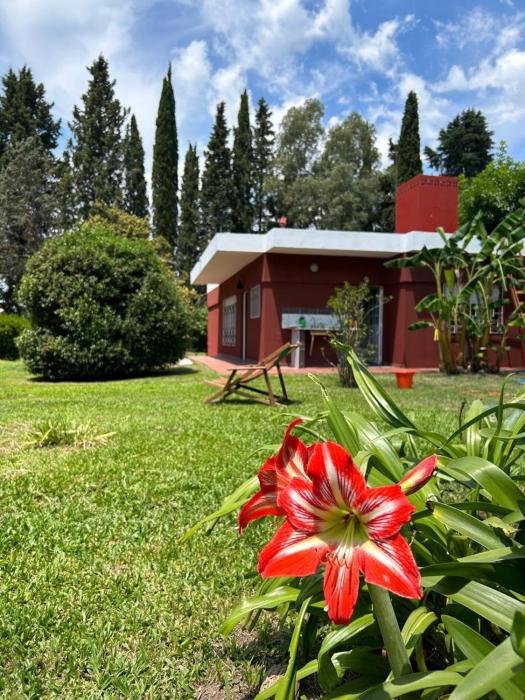 EZEIZA 10 minutes the air port,quinta tauro, barrio privado la celia