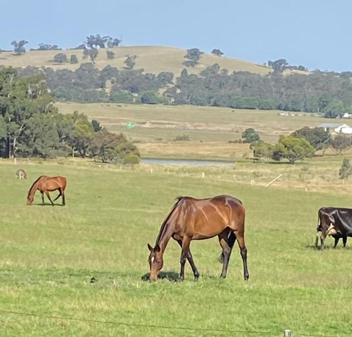 The Lancefield cottage - relax, revive and renew