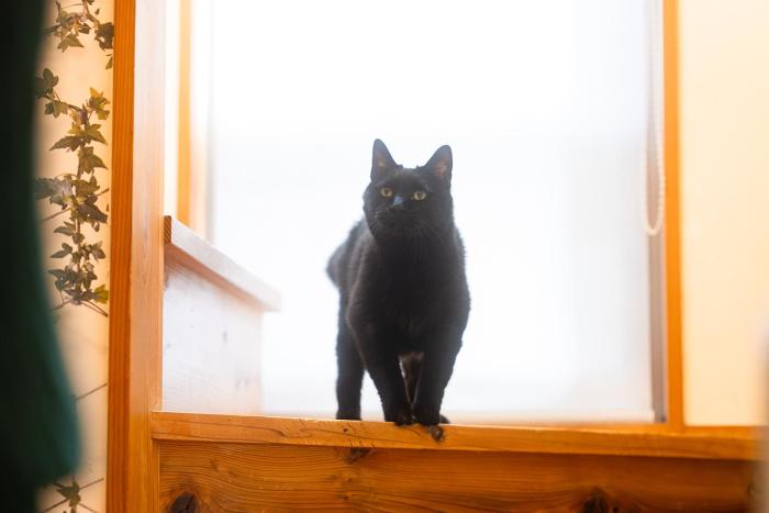 香川のゲストハウスFDroom