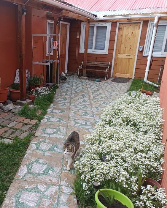 Cabaña Patagonia Rustica