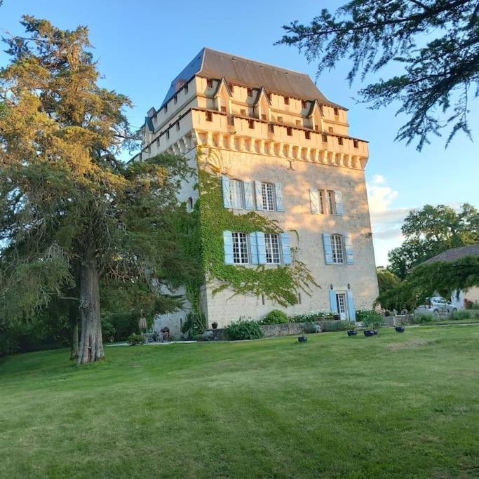 Château Tour du XIII siècle Gazaupouy