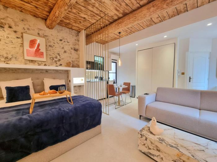 25 rue Celony - Le Vendome - Jacuzzi - VideoProjecteur