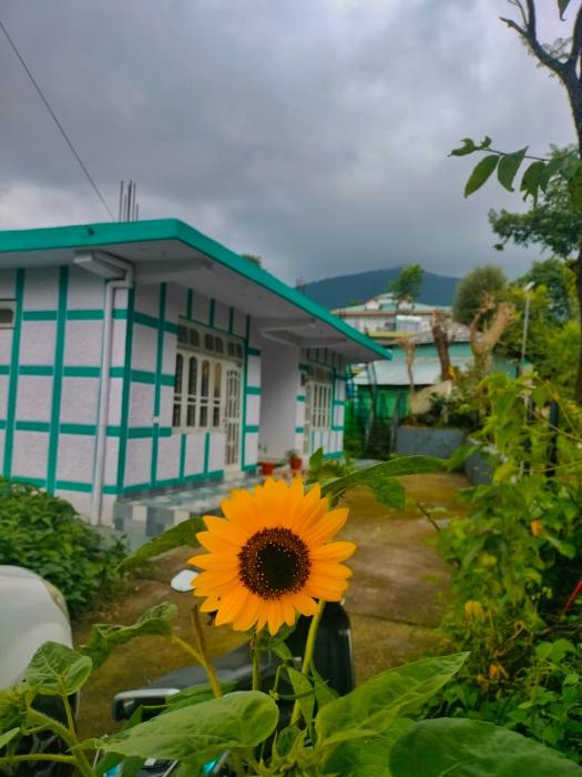 Baseraa - Birs Hidden Comfort